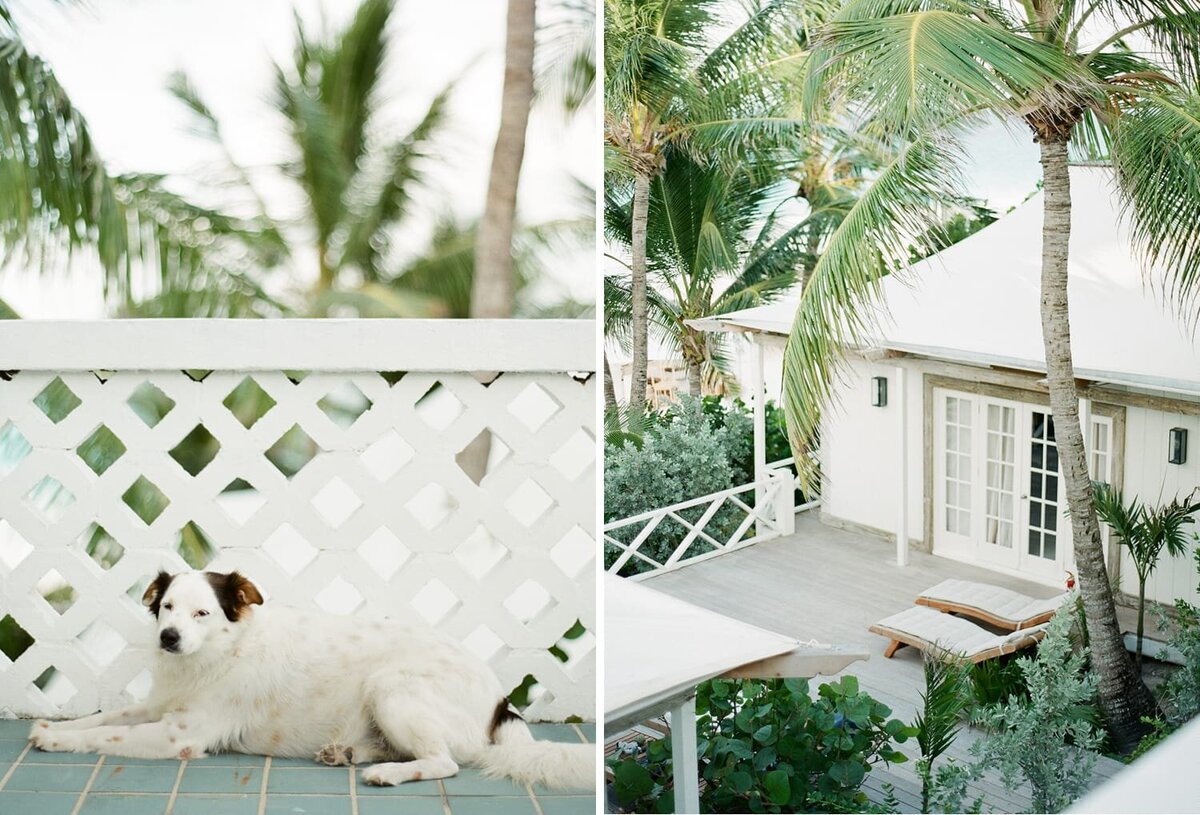 Harbour+Island+Matthew+Moore+Photography