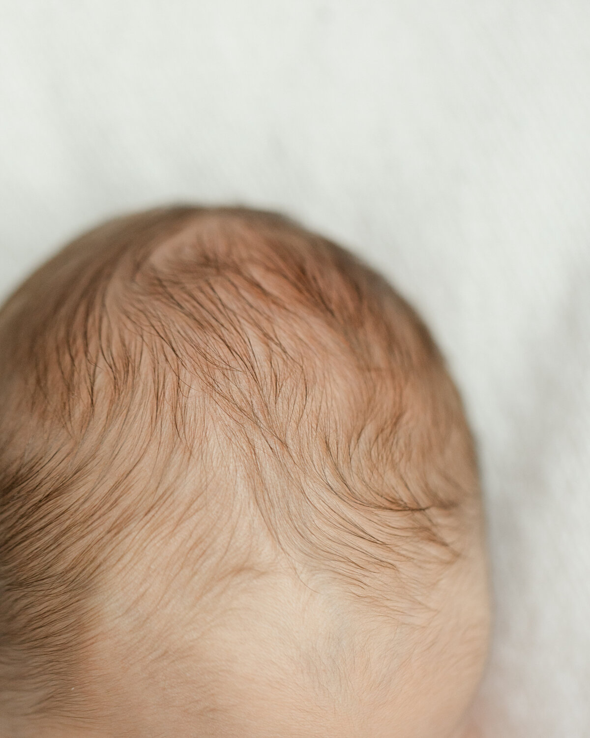 In-home newborn portrait session in Philadelphia - 1