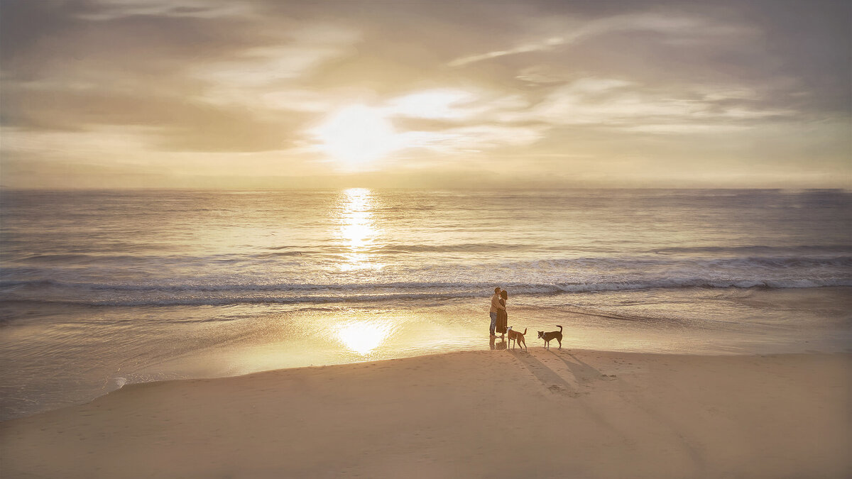 walking on beach with dogs at sunrise lake macquarie