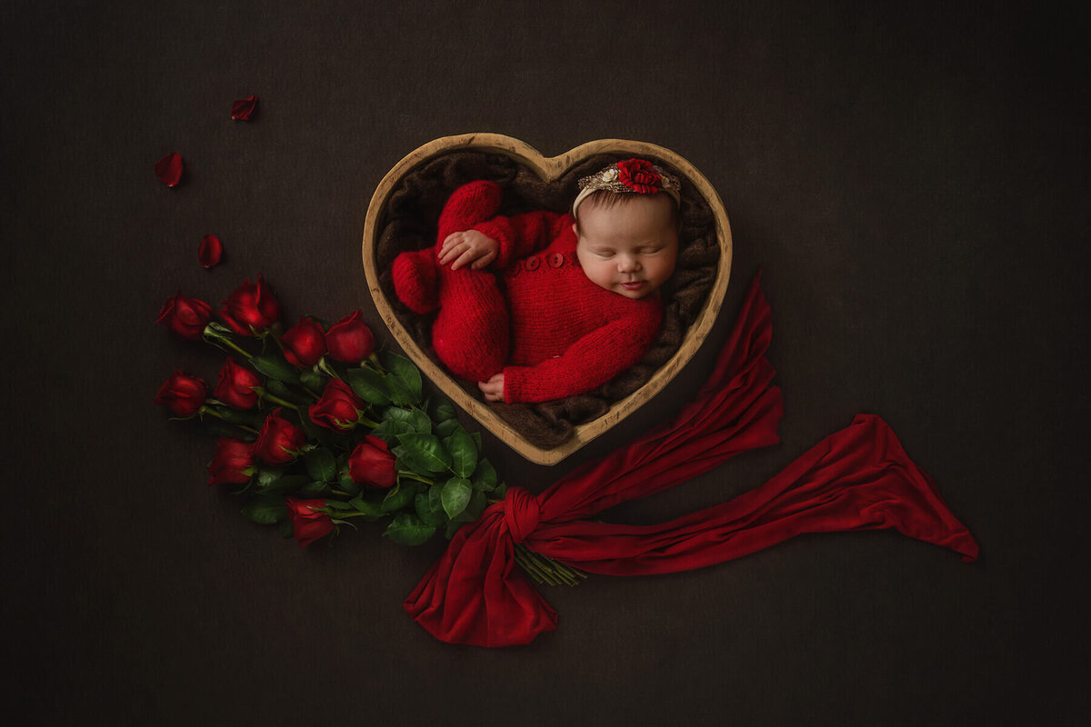 Springfield-Newborn-Photographer-29