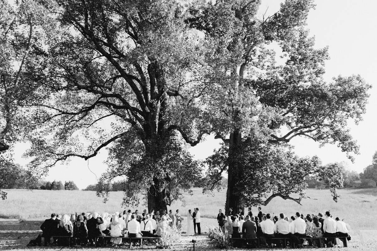 Bride and groom stand under a historic tree at their farm wedding in Tennessee