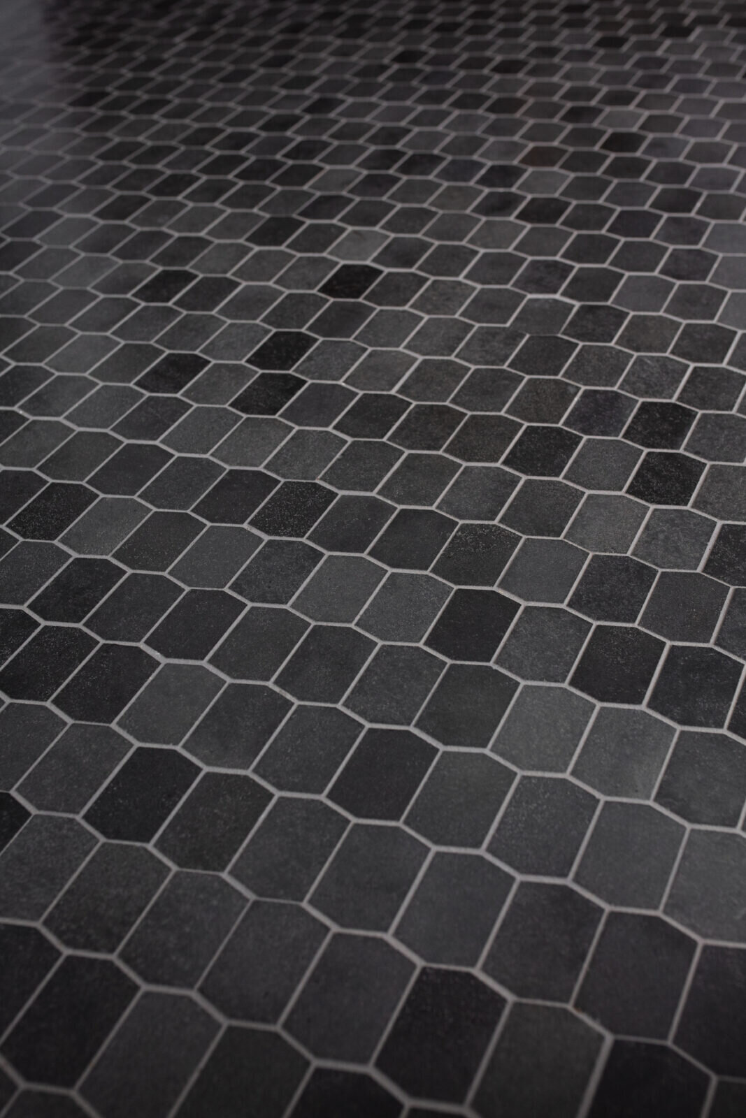 FoxRunLn_23-1067x1600