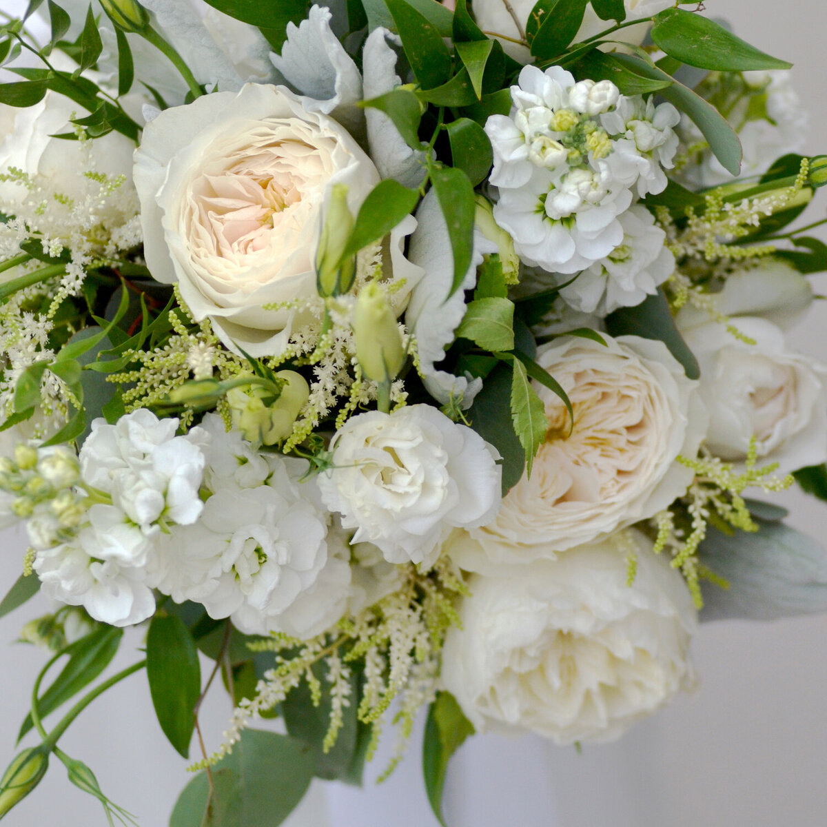 White Cloud Roses
