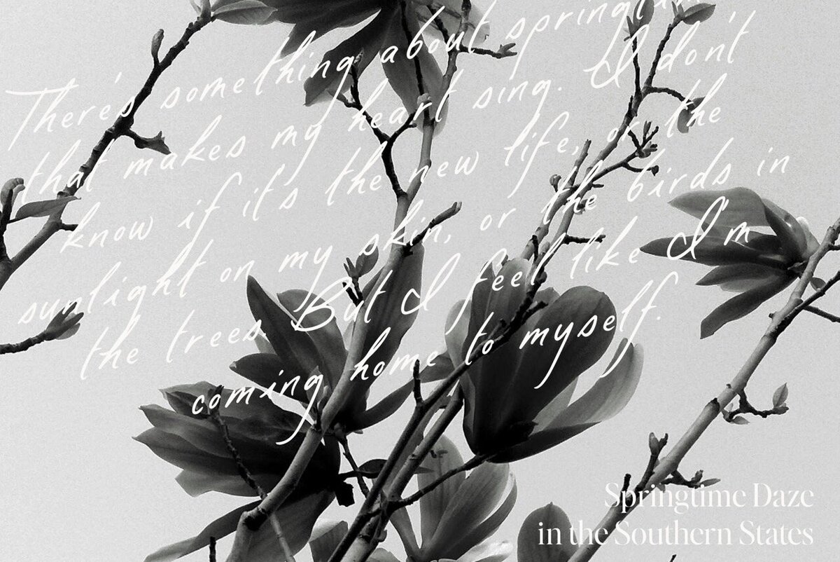 Paso Robles SamplesArtboard 12 Large