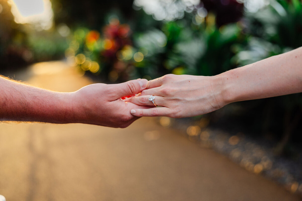Hawaii-Engagement-Photos-Holualoa-Inn (100)