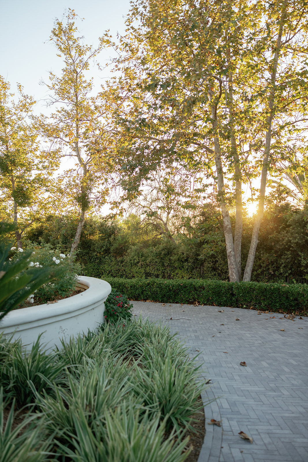 Weddings_by_Susan_Dunne_Luxury_Wedding_Planner_Wedding_venue_San_diego_Luxury_estate__1725