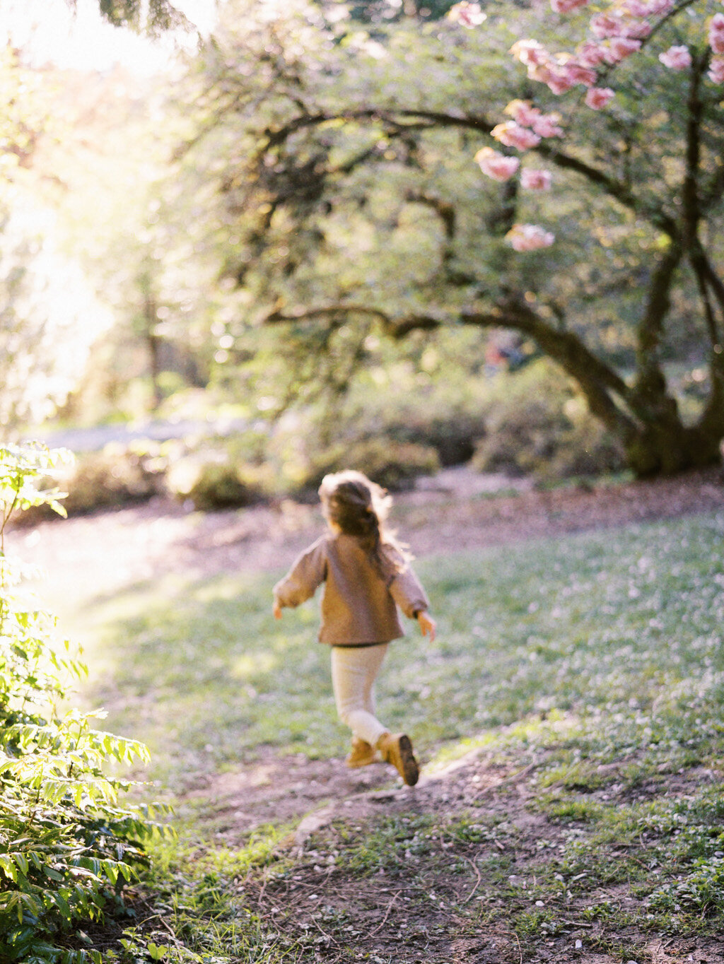 Tanya Zagumenov Arboretum Family Session-1