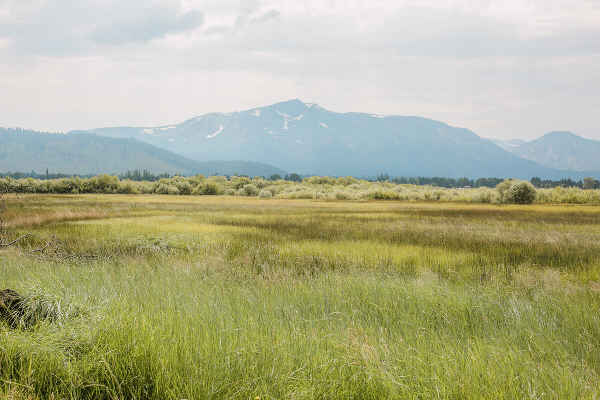 Lake Tahoe Wedding-30
