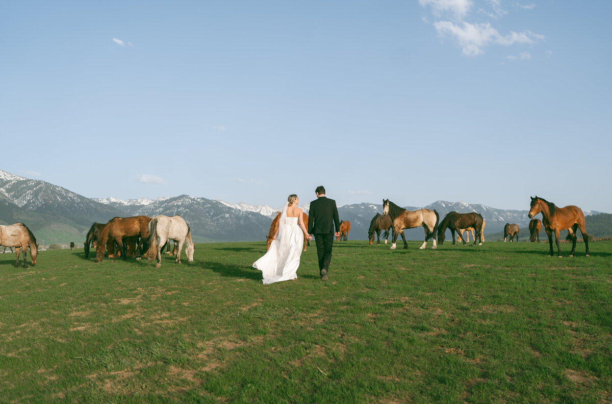 Colorado Elopement Photographer