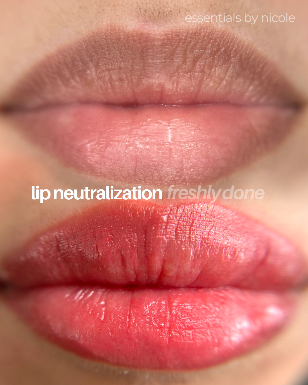 lip blush before and after west springfield, massachusetts Essentials by Nicole