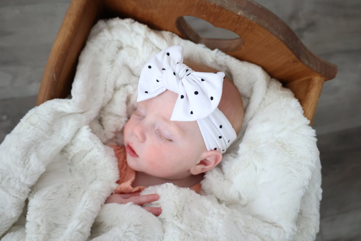 Bows-15