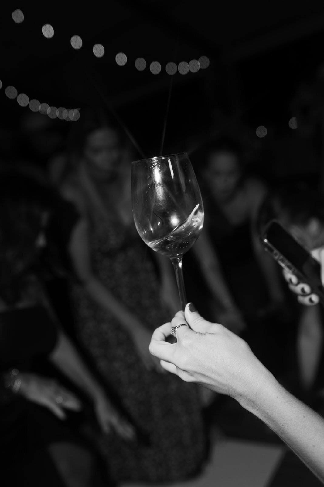 wedding-photos-french-park-107