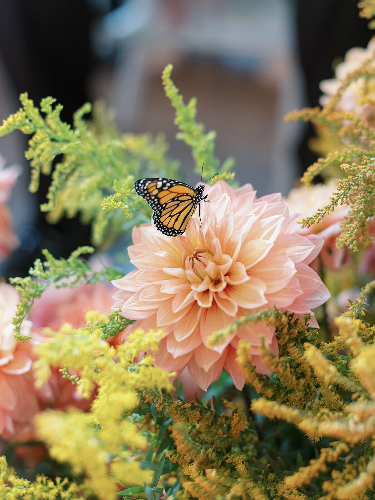 L&B Wedding-0580