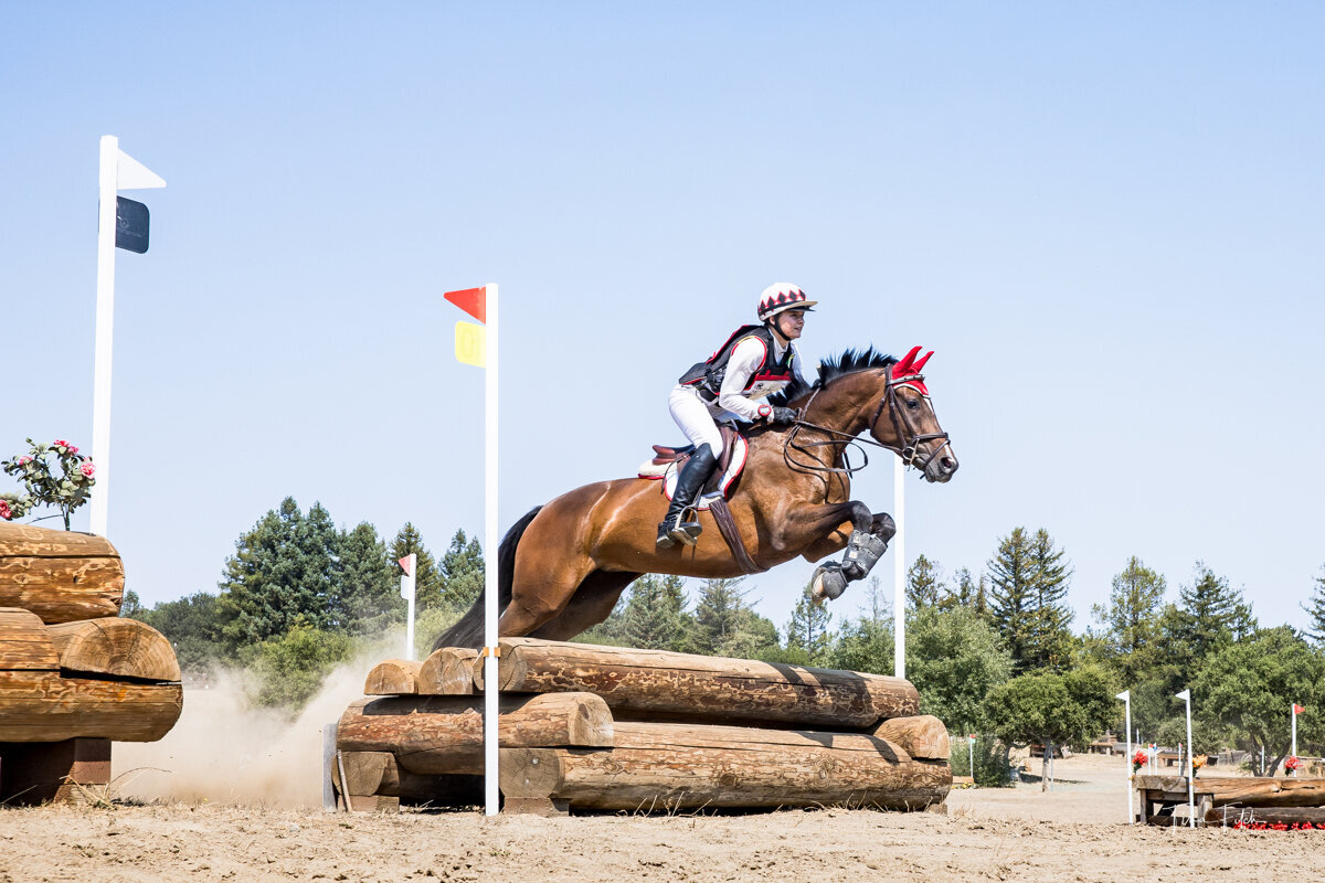 Minnie Comet DF sired by R Blue Moon