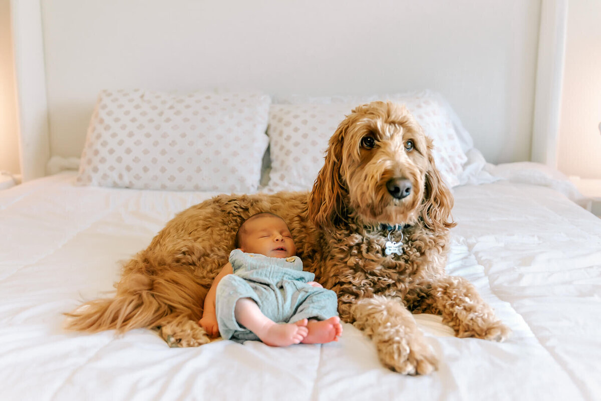newborn-photography-near-me- (20)