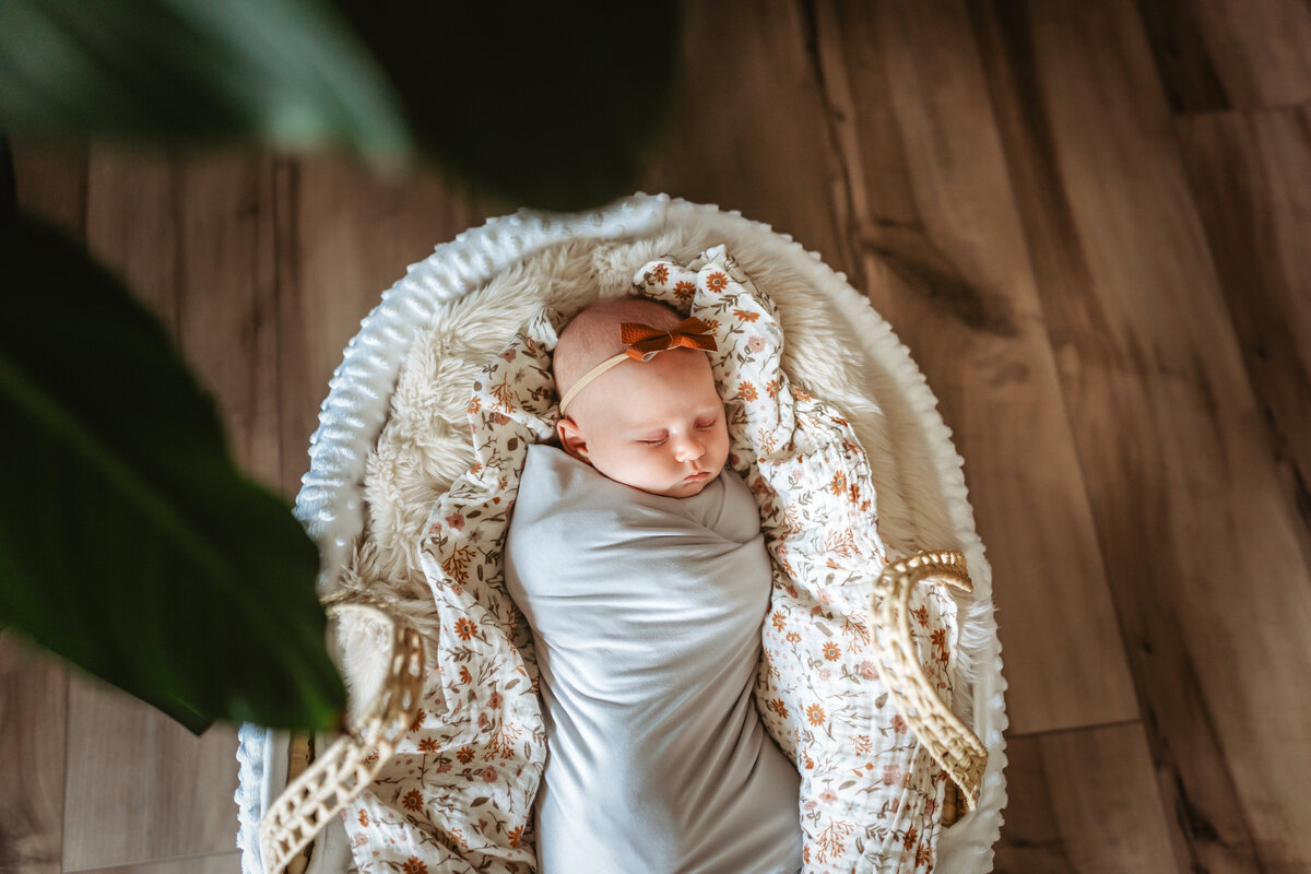 Starnes Newborn-3