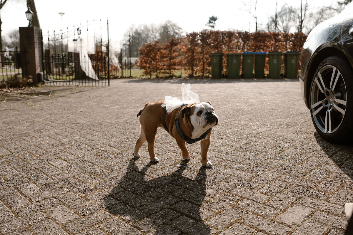 ICUFotografie-Wesley&Kim-116