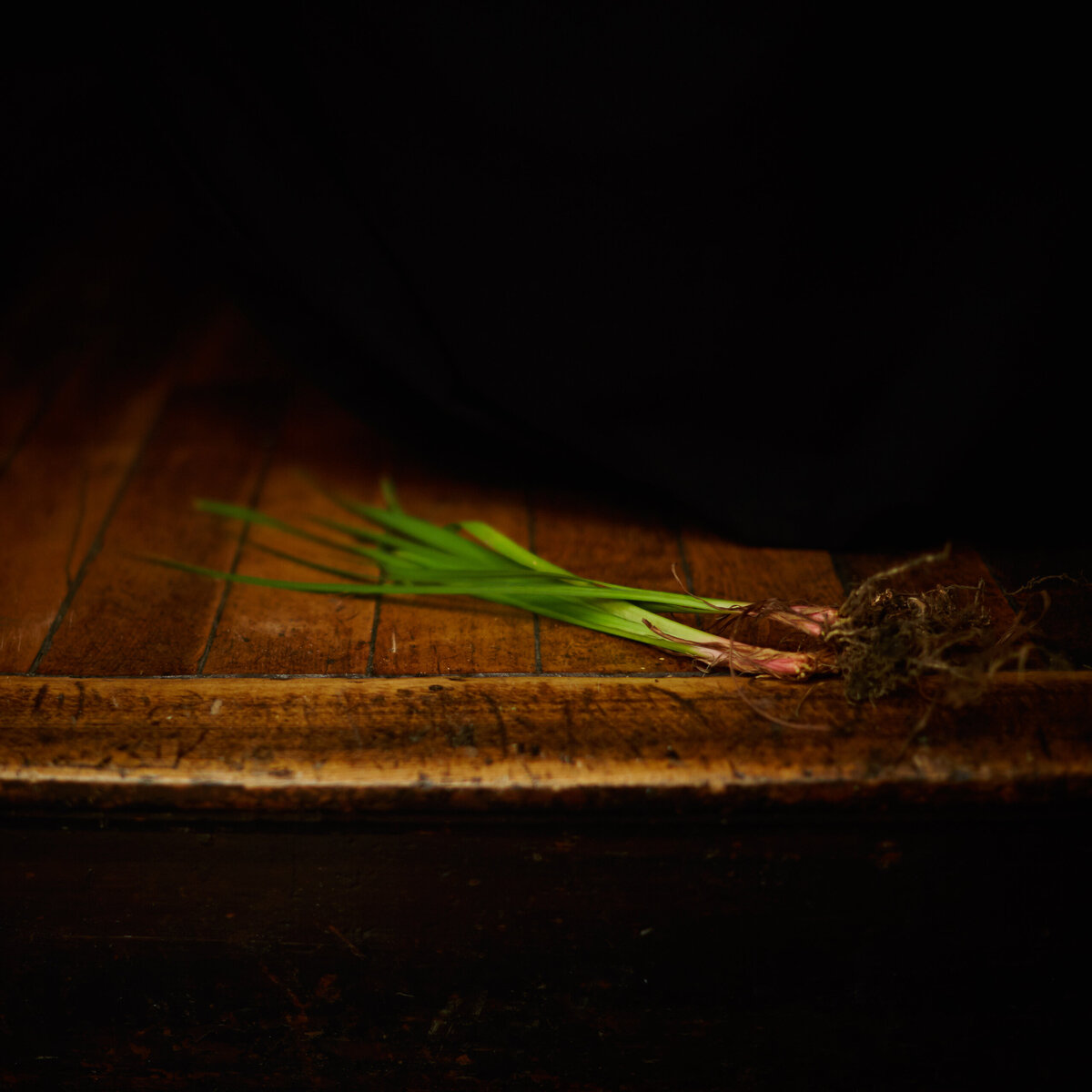 20151006___MG_5574