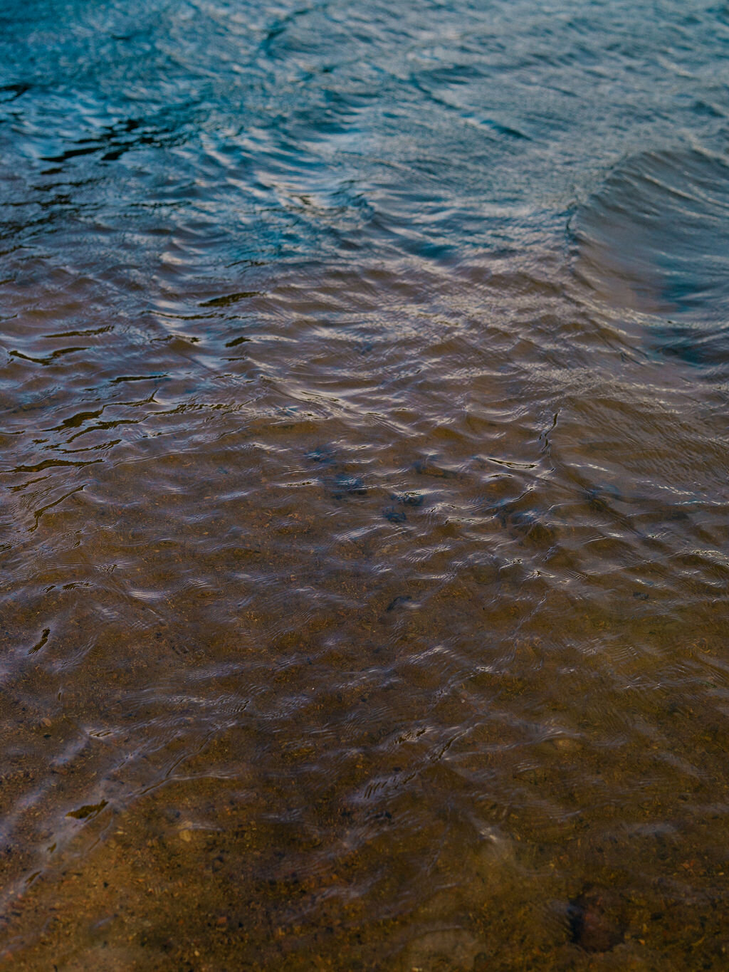 Estes Park Colorado Photographer
