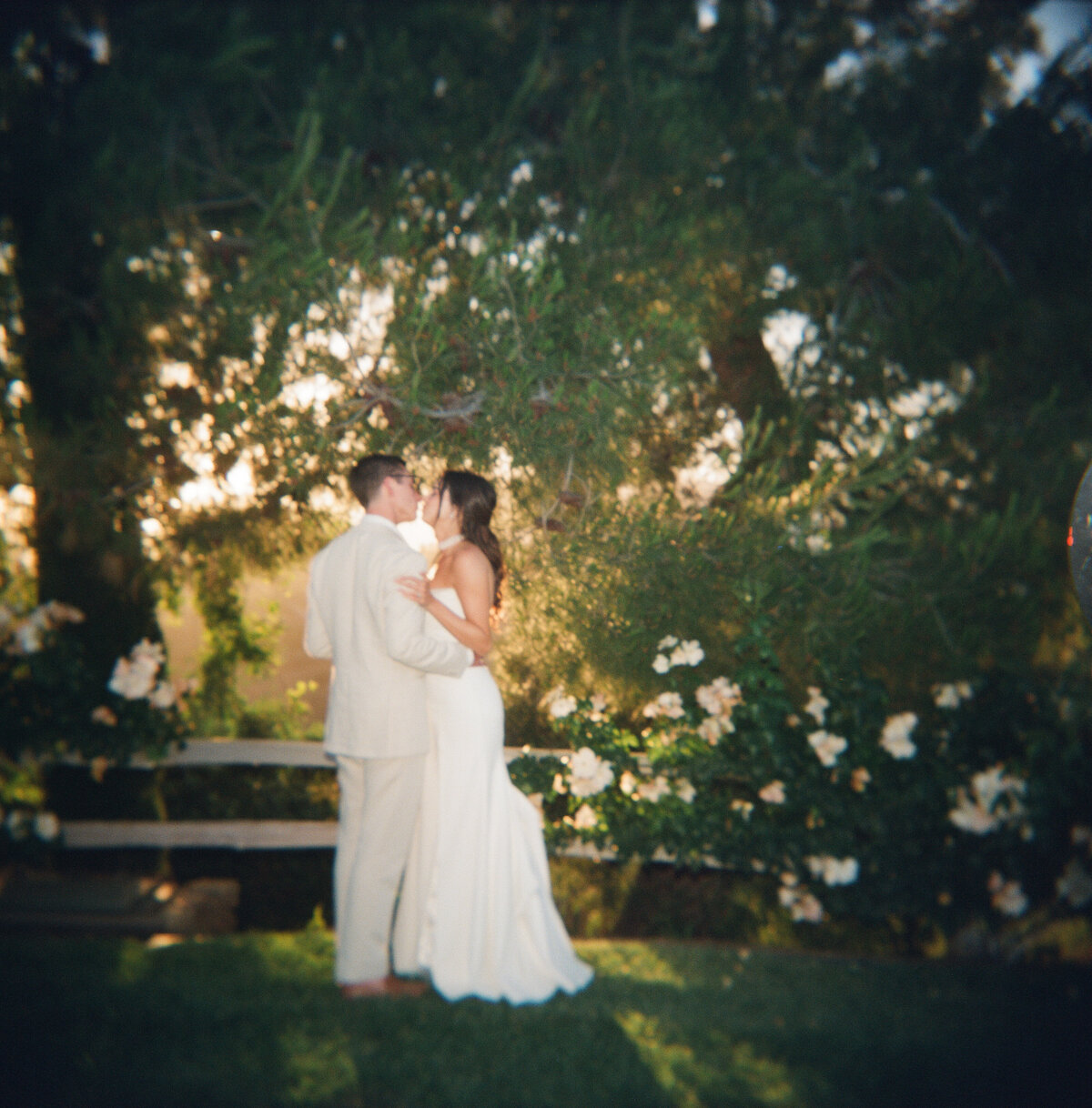 Film-113 (1)