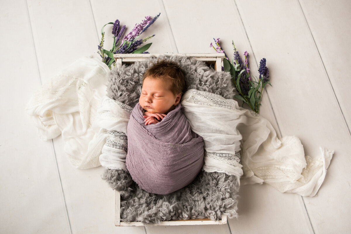baby surrounded by lavender