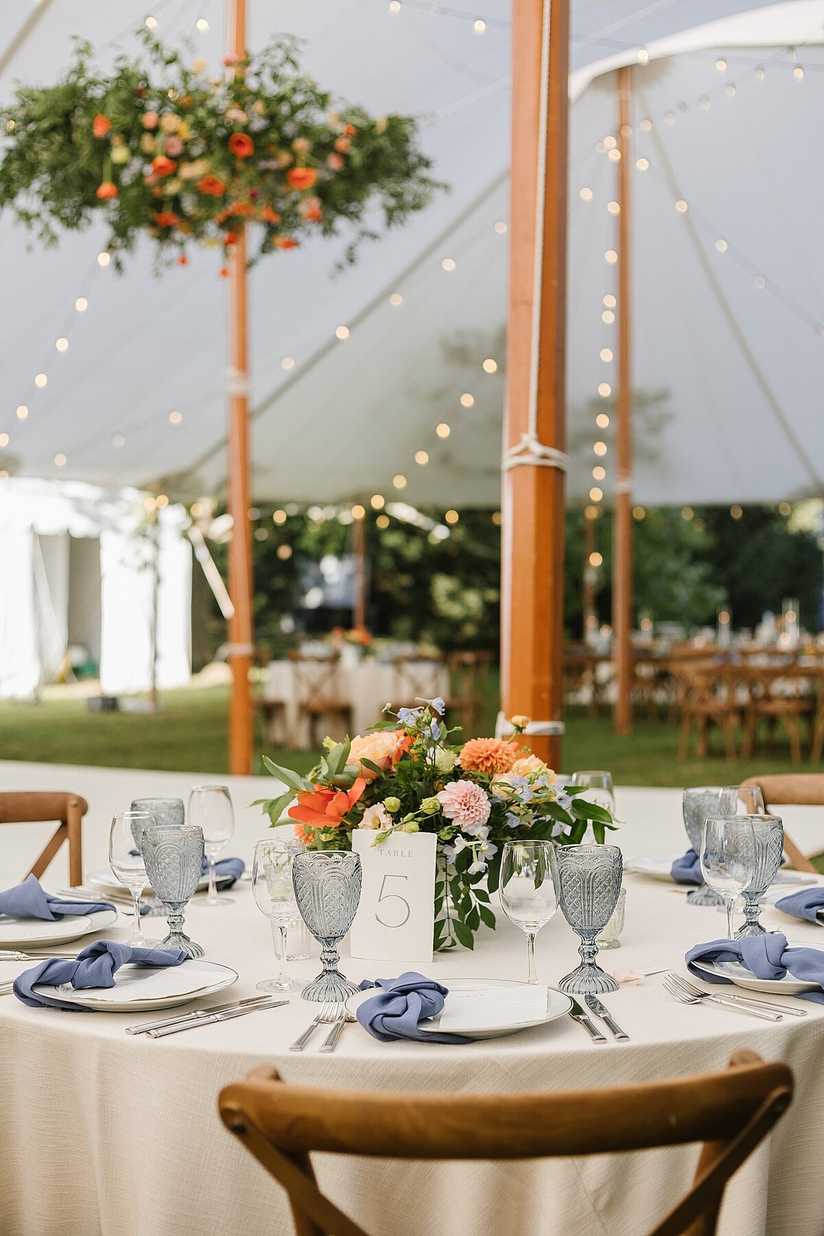 baltimore-maryland-private-estate-sailcloth-tent-Wedding-planner_0327-photo