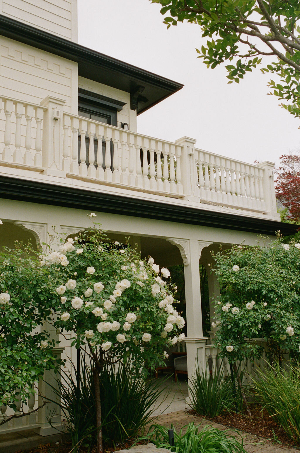 AnnaCalvin-Wed2025-192