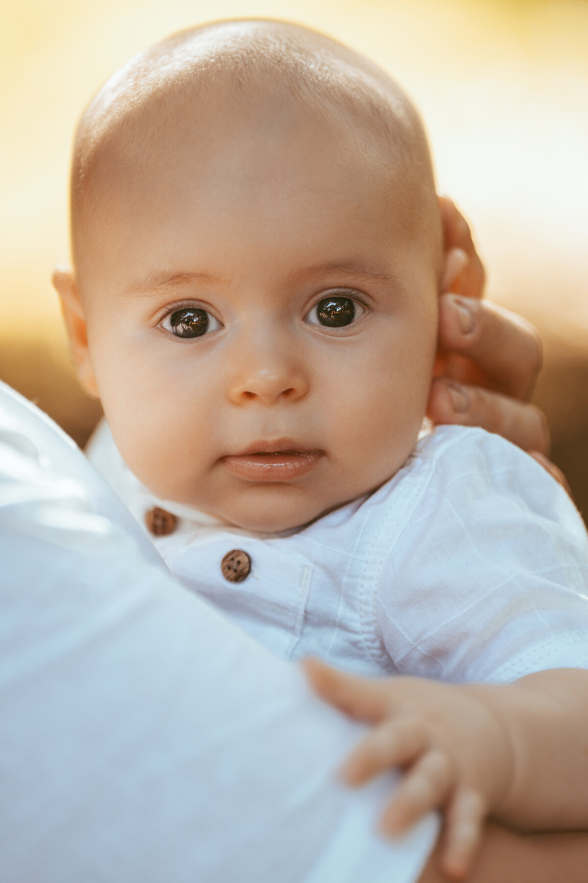 photographe gien nouveau ne naissance seance photo bebe famille foret portrait aurore photographe 8