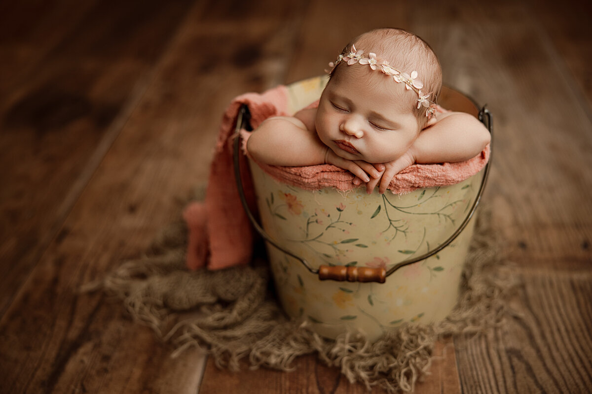 newborn photography north al