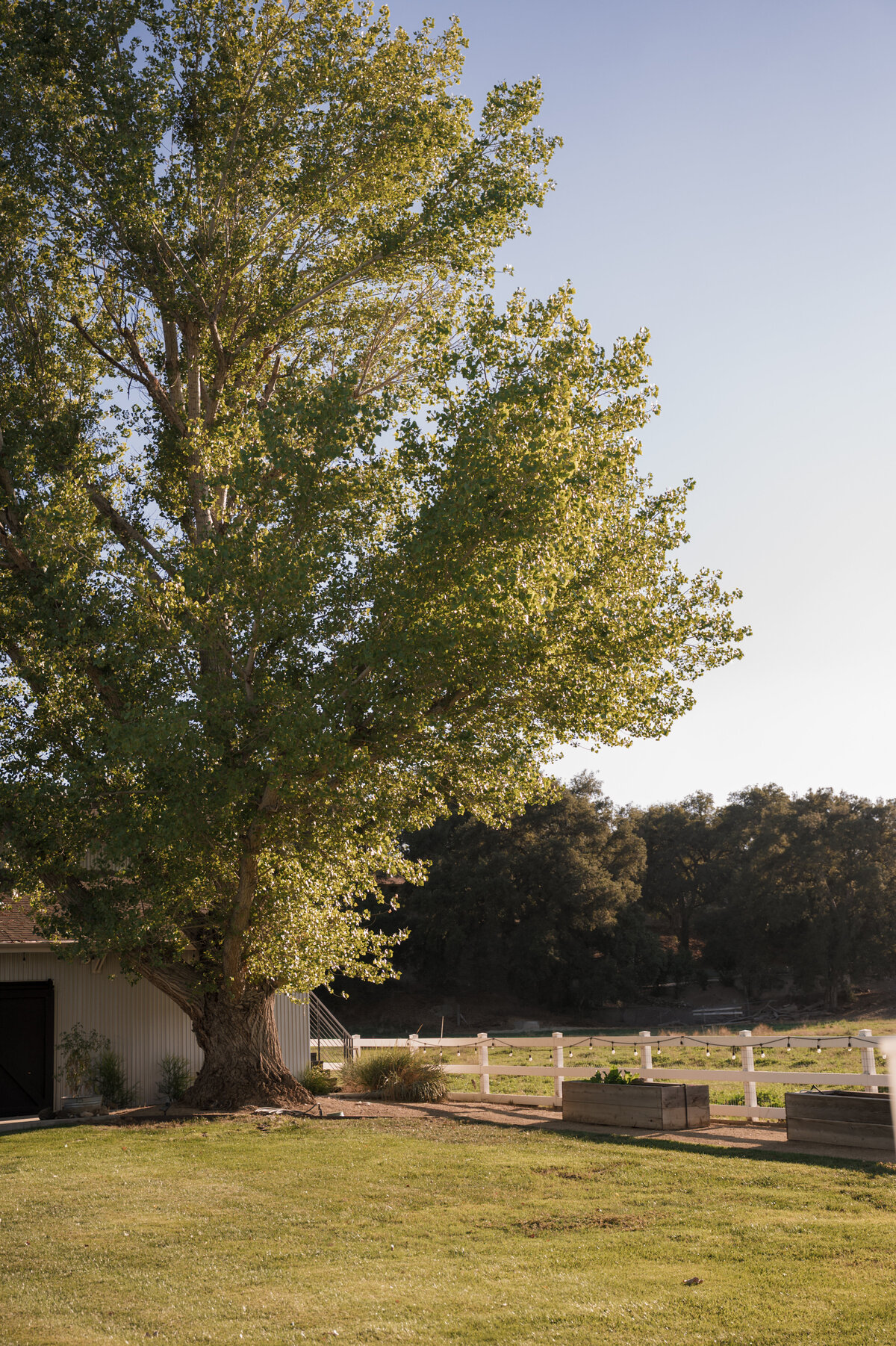 Los_Angeles_wedding_venue_luxury_wedding_planner_top_LA_event_producer_Ojai_wedding_venue_20