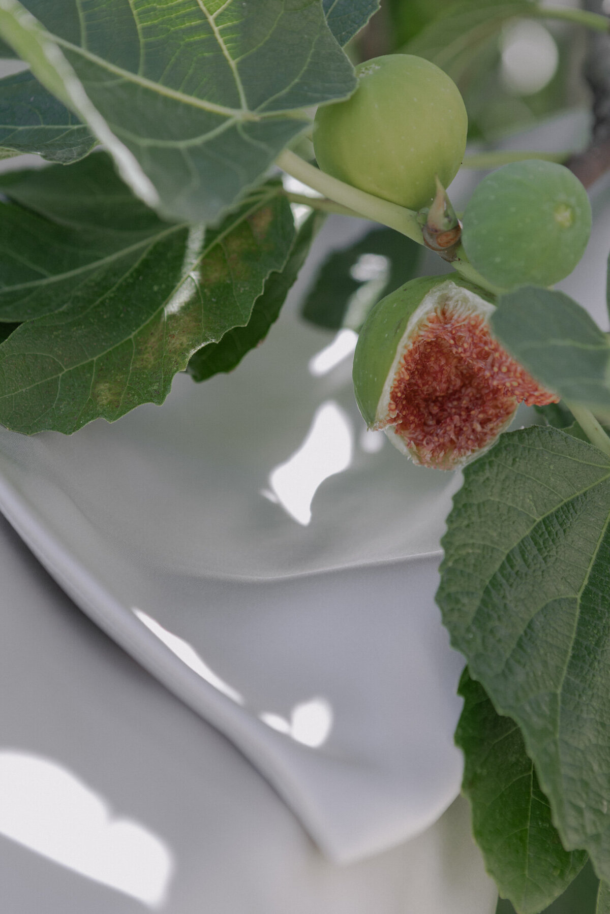 AM-Editorial-20251004-010