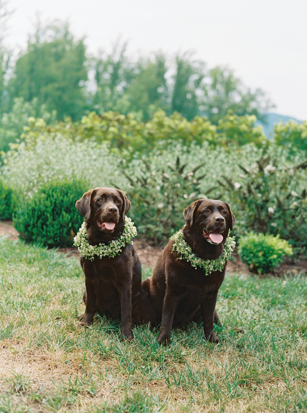 pageandadamwedding-daniellejamesphoto-60