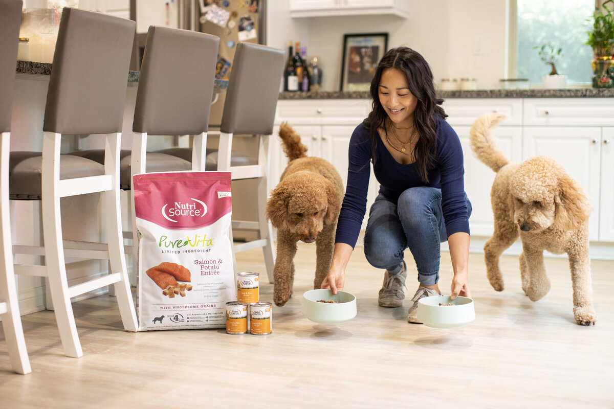 dog food photos