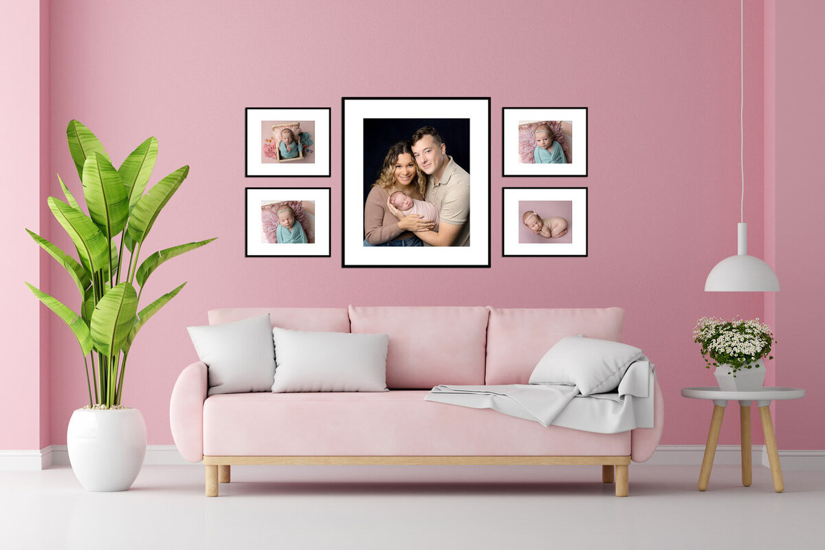 sofa-pink-living-room-interior-with-copy-space copy-1