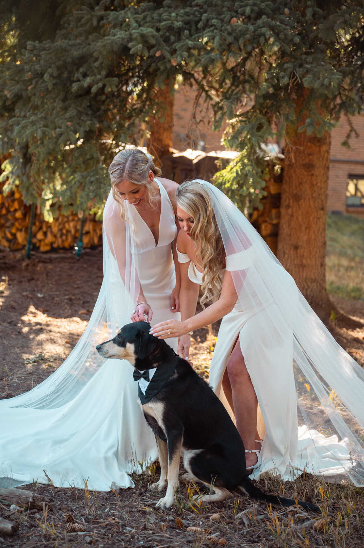 low res portfolio 2025-36