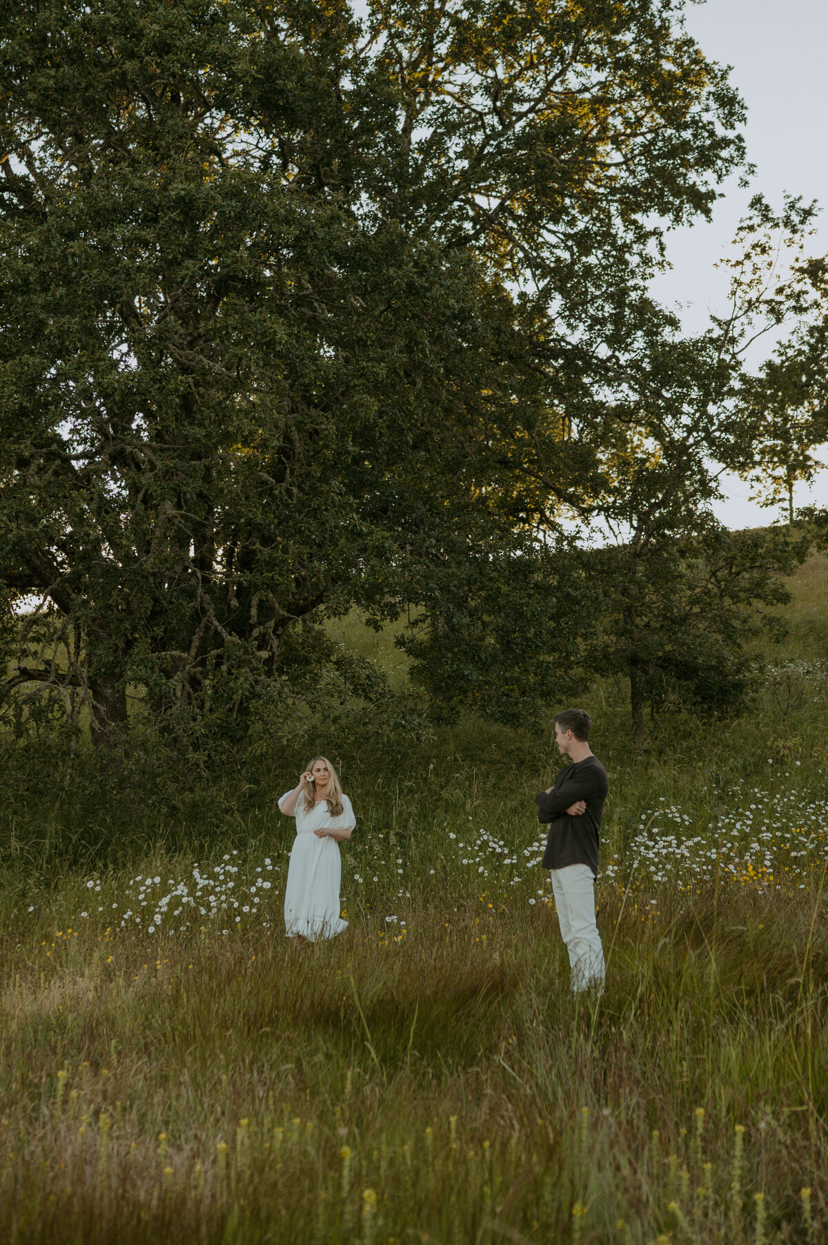 Couple standing in a daisy field