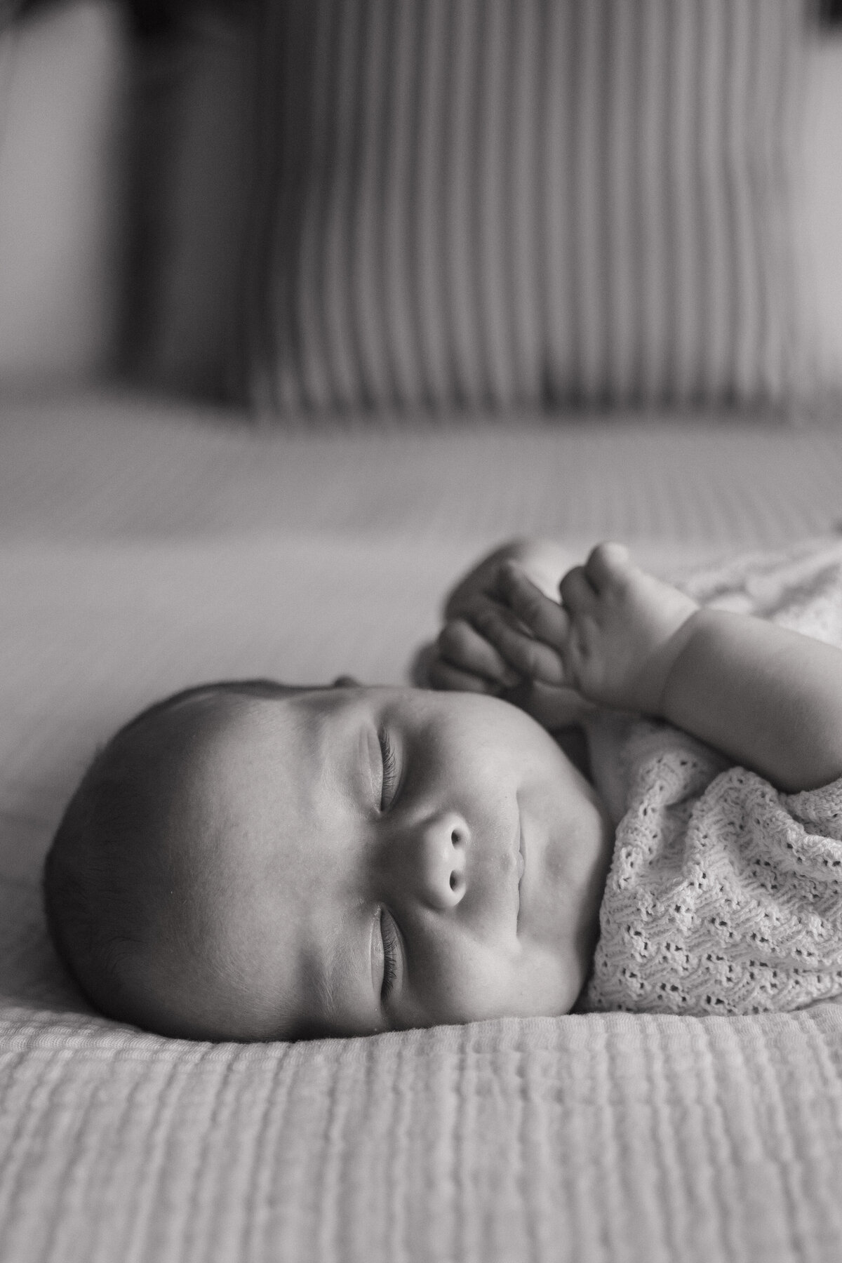 Black and white Indianapolis newborn photography portrait