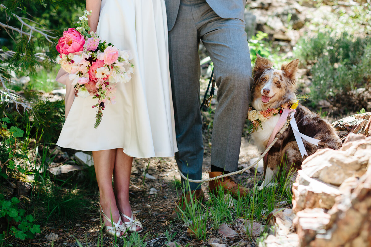 Bride holding a summer wildflower bouquet and a dog wearing a floral collar. Wedding portraits