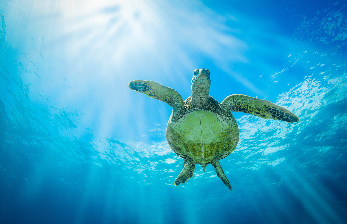 AdobeStock_201958353