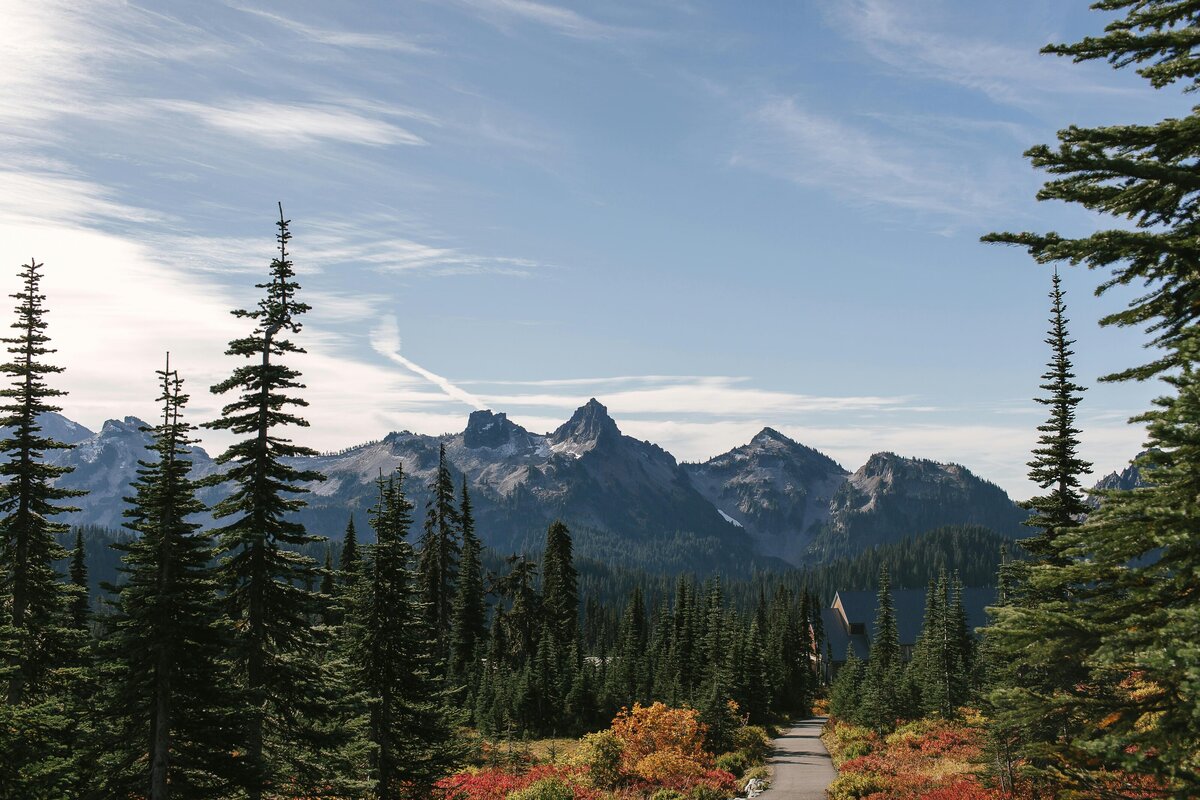 Beautiful pathway in the forest with a mountain and sky in the background