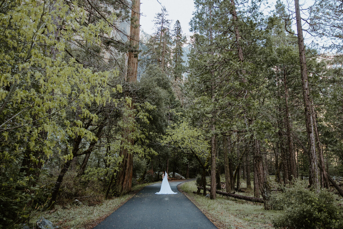 Bride walking alone on forest trail during washington elopement