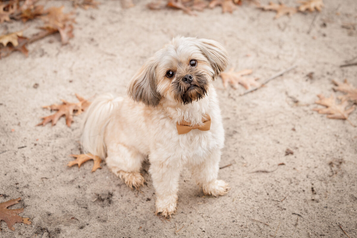 Lisa-&-Betsie---ByMarita-Fotografie-&-Media-08