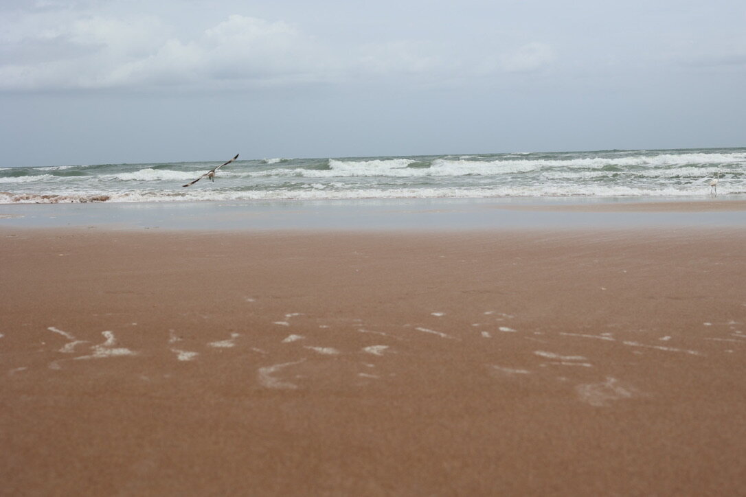 3F28B7FC-EE1A-4AF7-8208-A8DA35A527E4_1_105_c