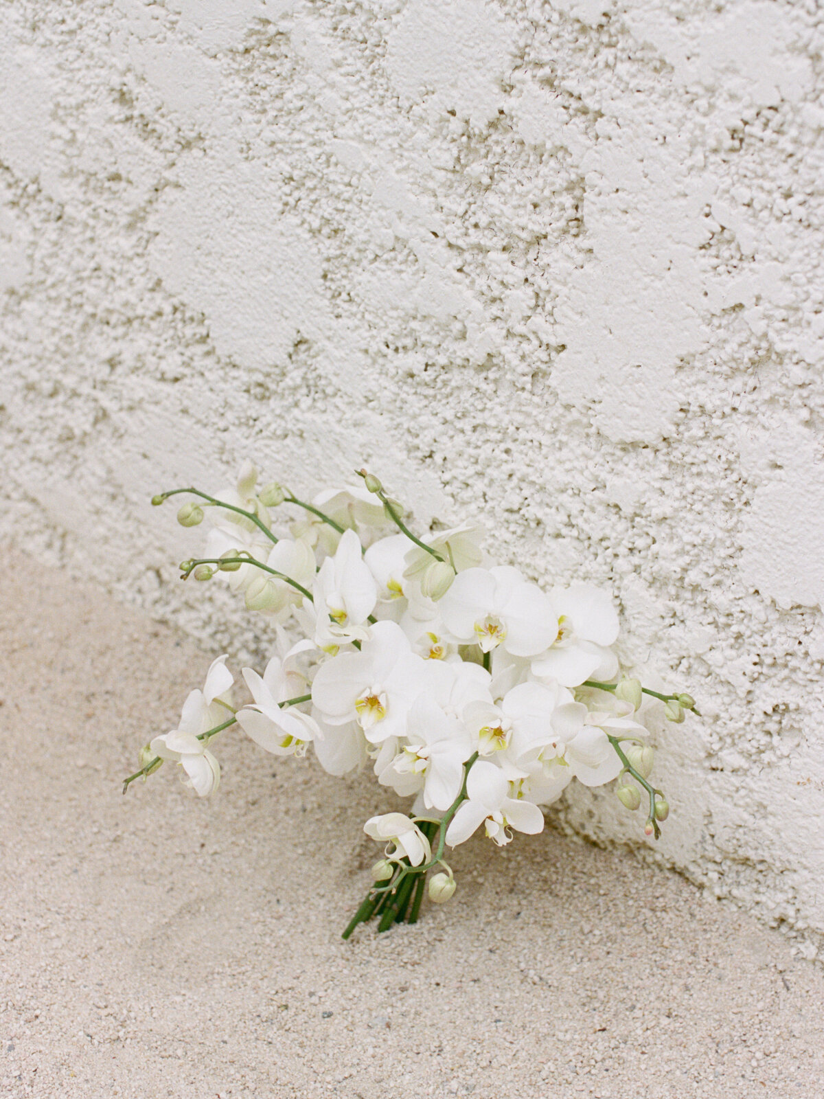 Jenny Losee Destination Wedding Photographer (22 of 1279)