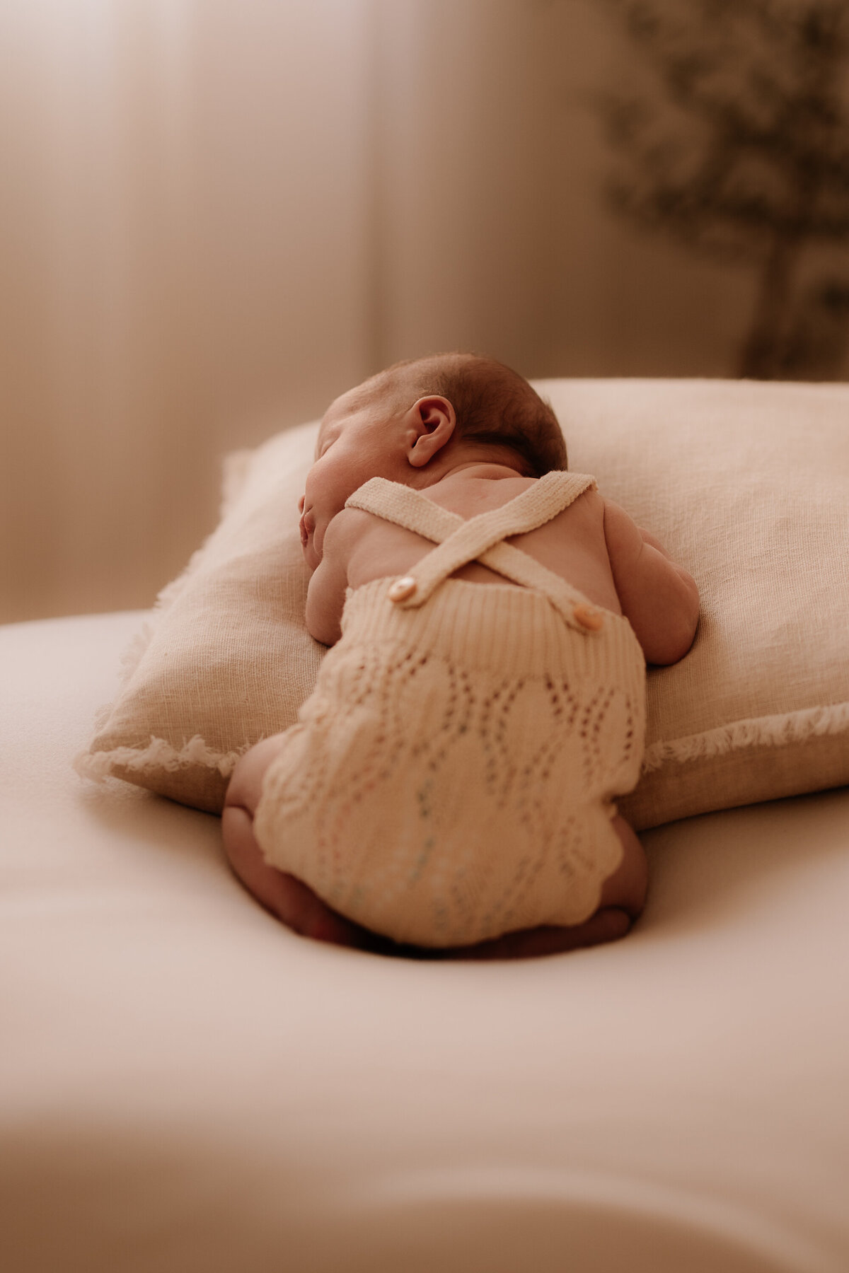 In-home newborn Photography, Sarah Downey Newborn Photography