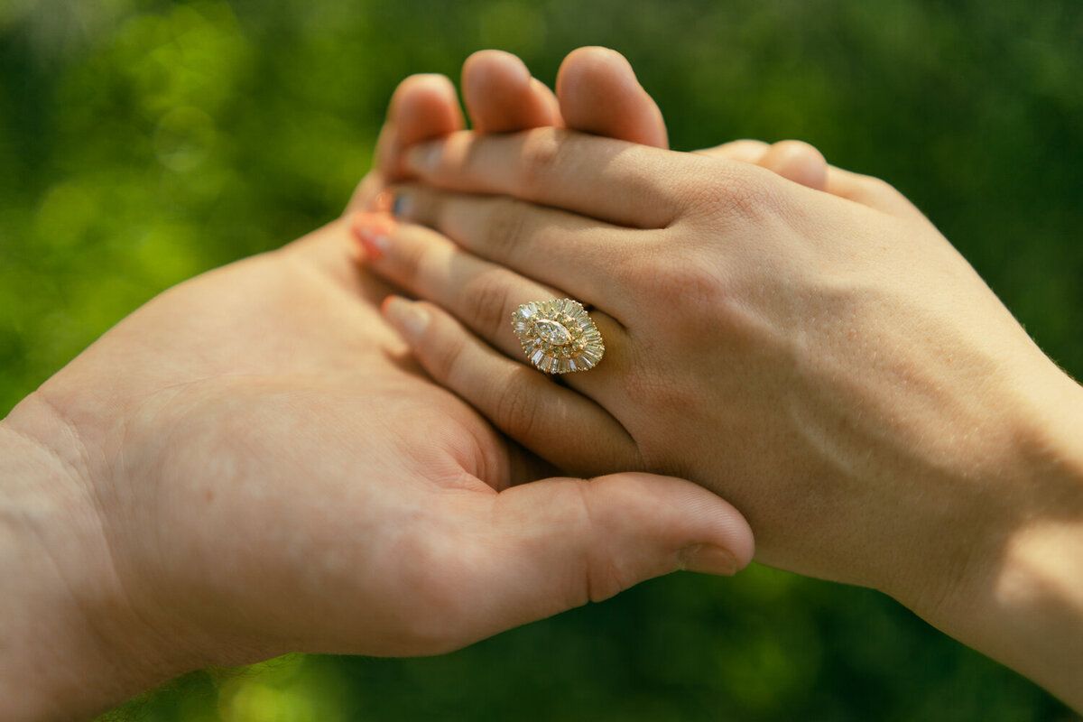 flower_field_knoxville_engagement-28