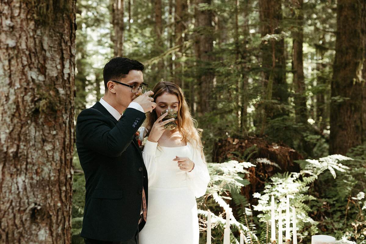 MtRainierSmallWedding-DallinHazard-522