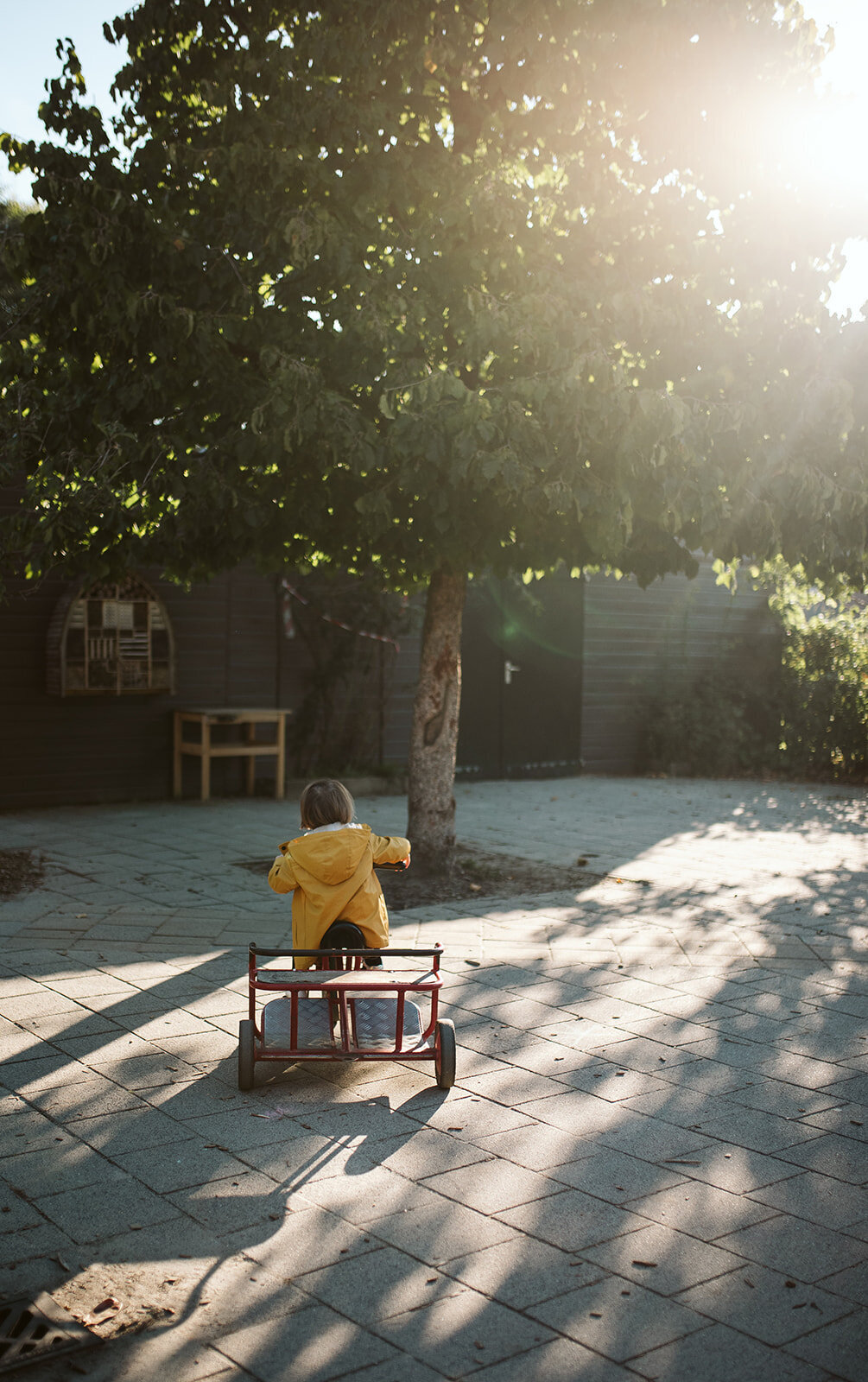 Marianne Bal Photography Business OBS De Bogerd Rossum-76