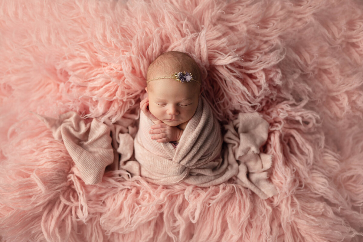 St. Petersburg Newborn Photographer