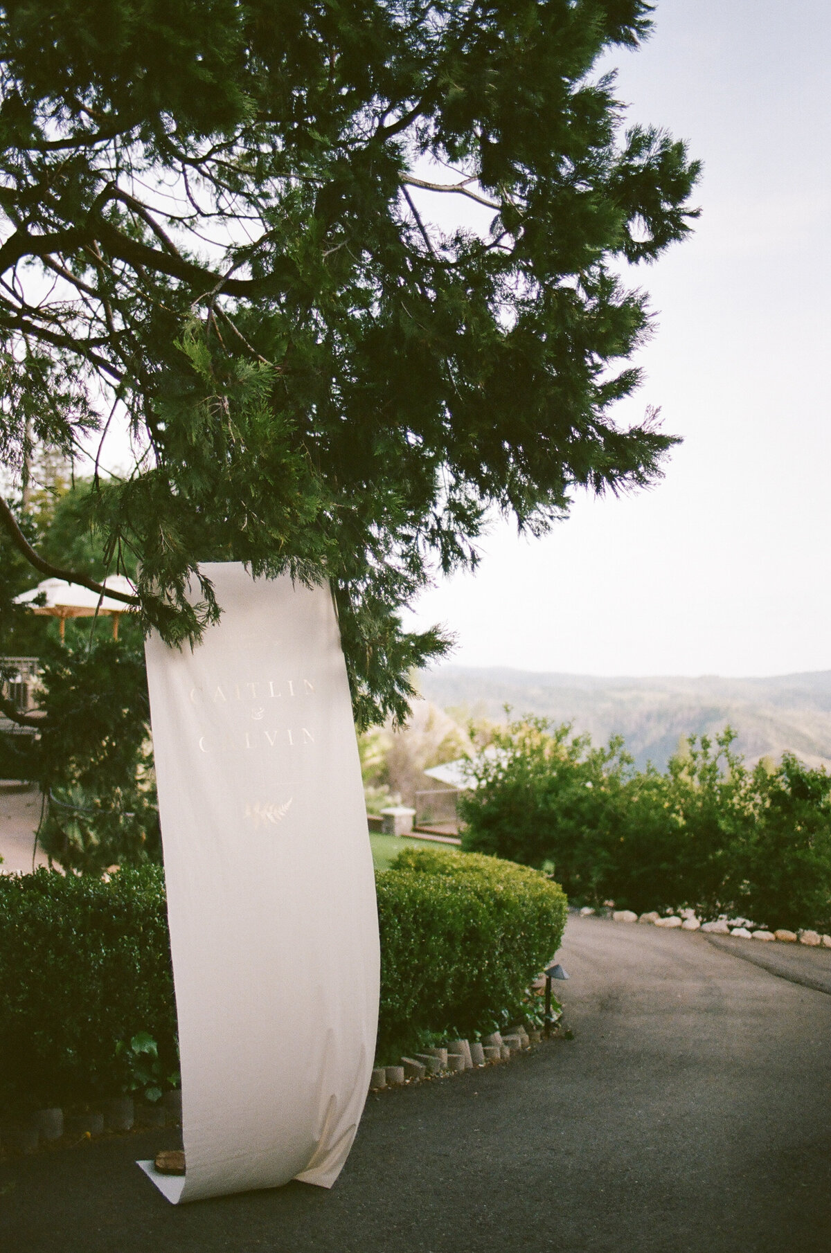 CAITLIN+CALVIN-LI-741